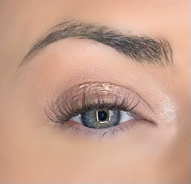 Hazel Press & Go Refill