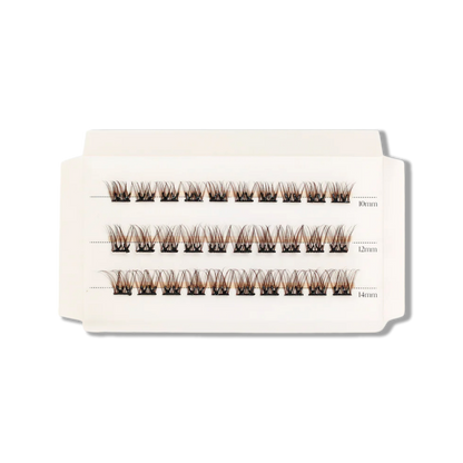 Hazel Press & Go Refill