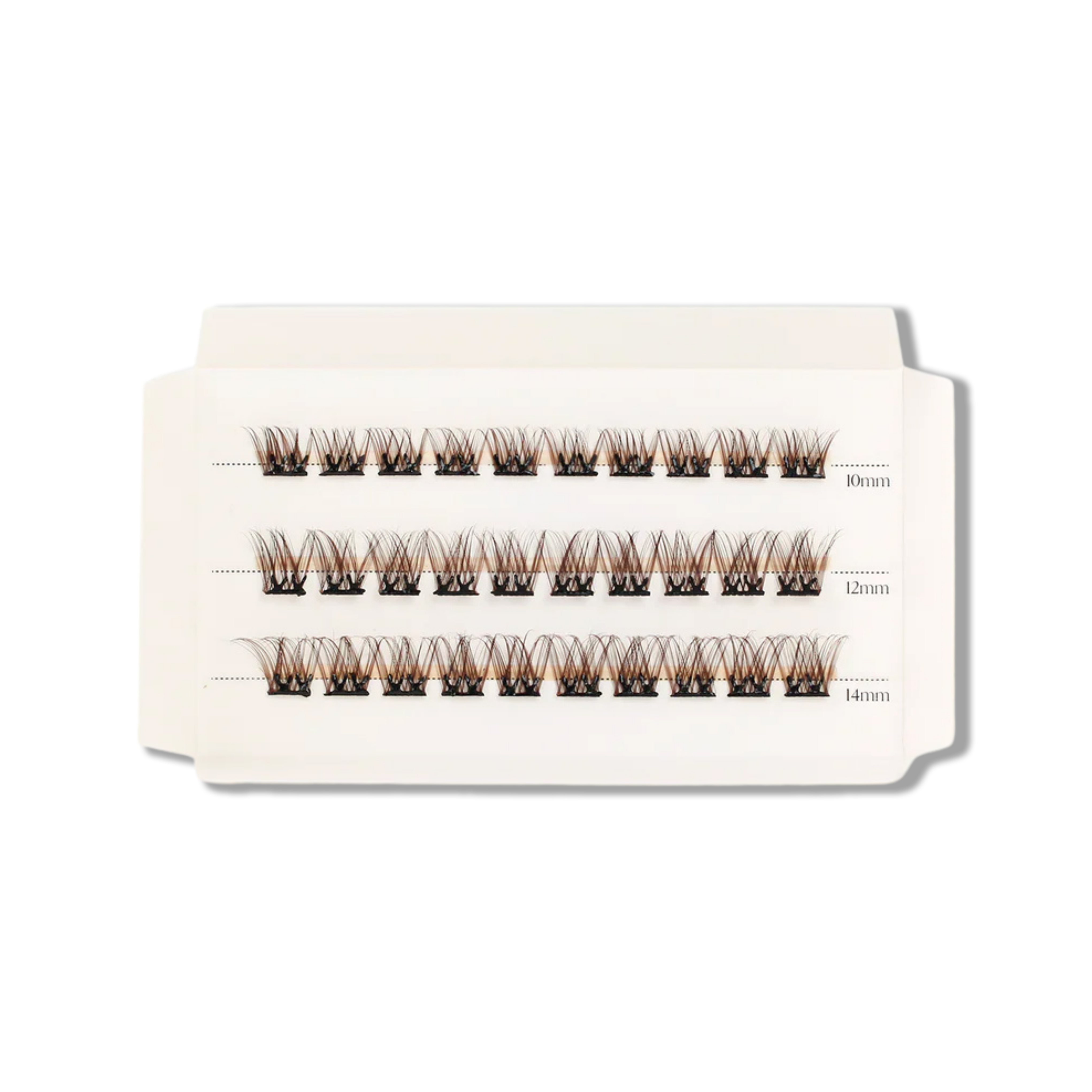 C_DBranding_1_copy_ec9f5d27-95cf-48ee-aa19-bfb013c1d015.png